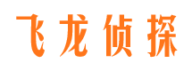 马村寻人公司